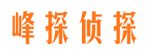 南城市侦探调查公司